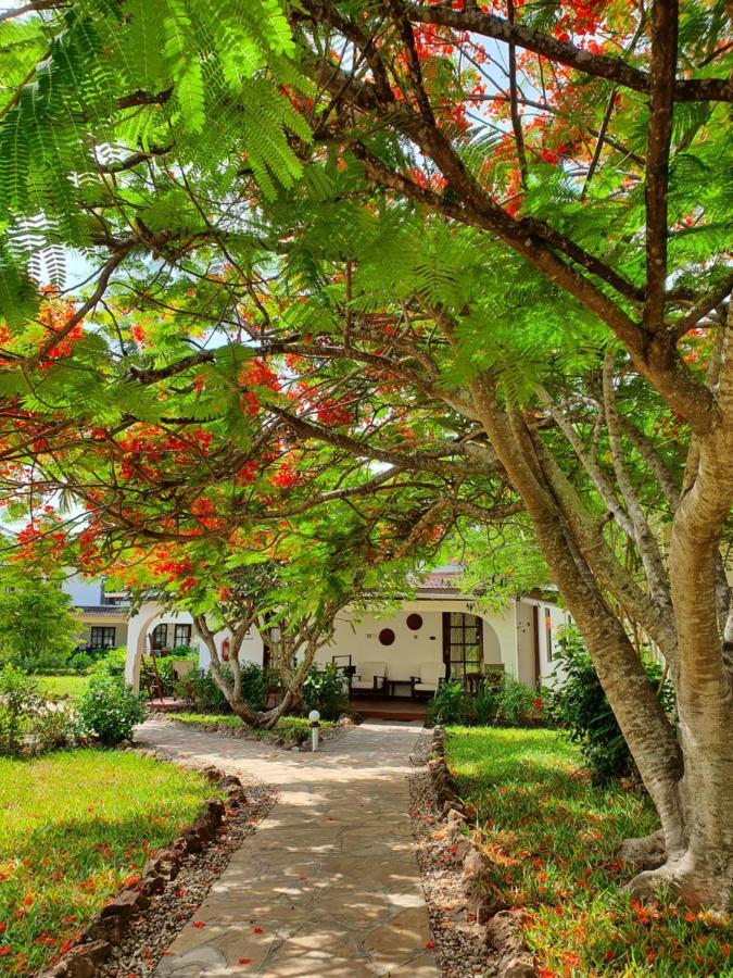 Flame Tree Cottages Nungwi Bagian luar foto