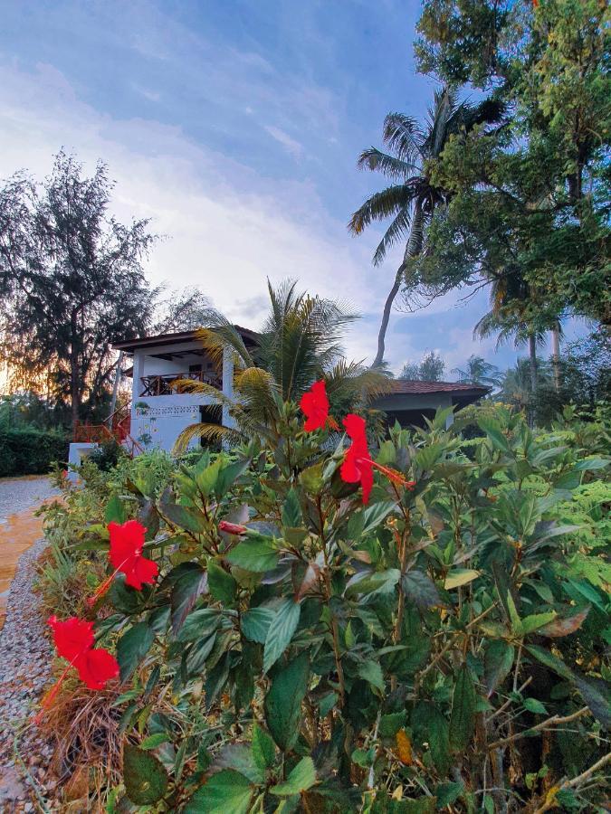 Flame Tree Cottages Nungwi Bagian luar foto