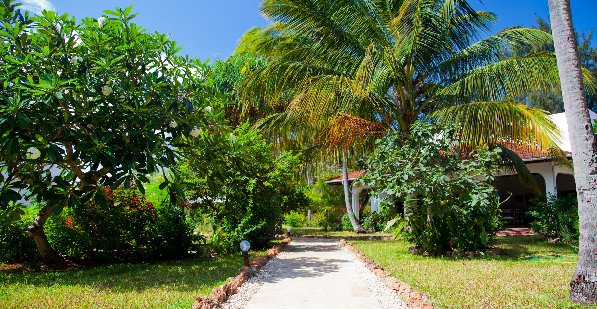 Flame Tree Cottages Nungwi Bagian luar foto